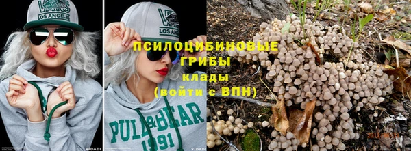 мдпв Беломорск