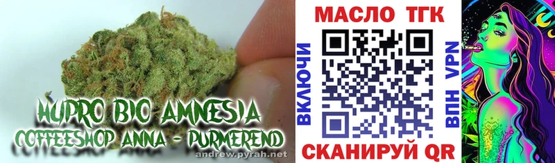 продажа наркотиков  Кстово  Дистиллят ТГК Wax 
