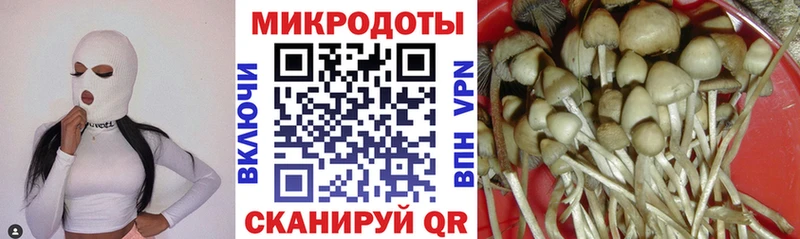 ссылка на мегу вход Кстово Псилоцибиновые грибы Cubensis